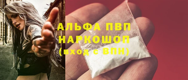 мяу мяу кристалл Корсаков