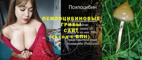а пвп мука Кодинск
